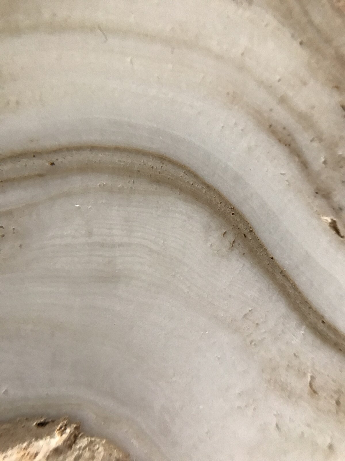 Morceaux de stalagmites brisées et empilées, les spéléofacts de Bruniquel