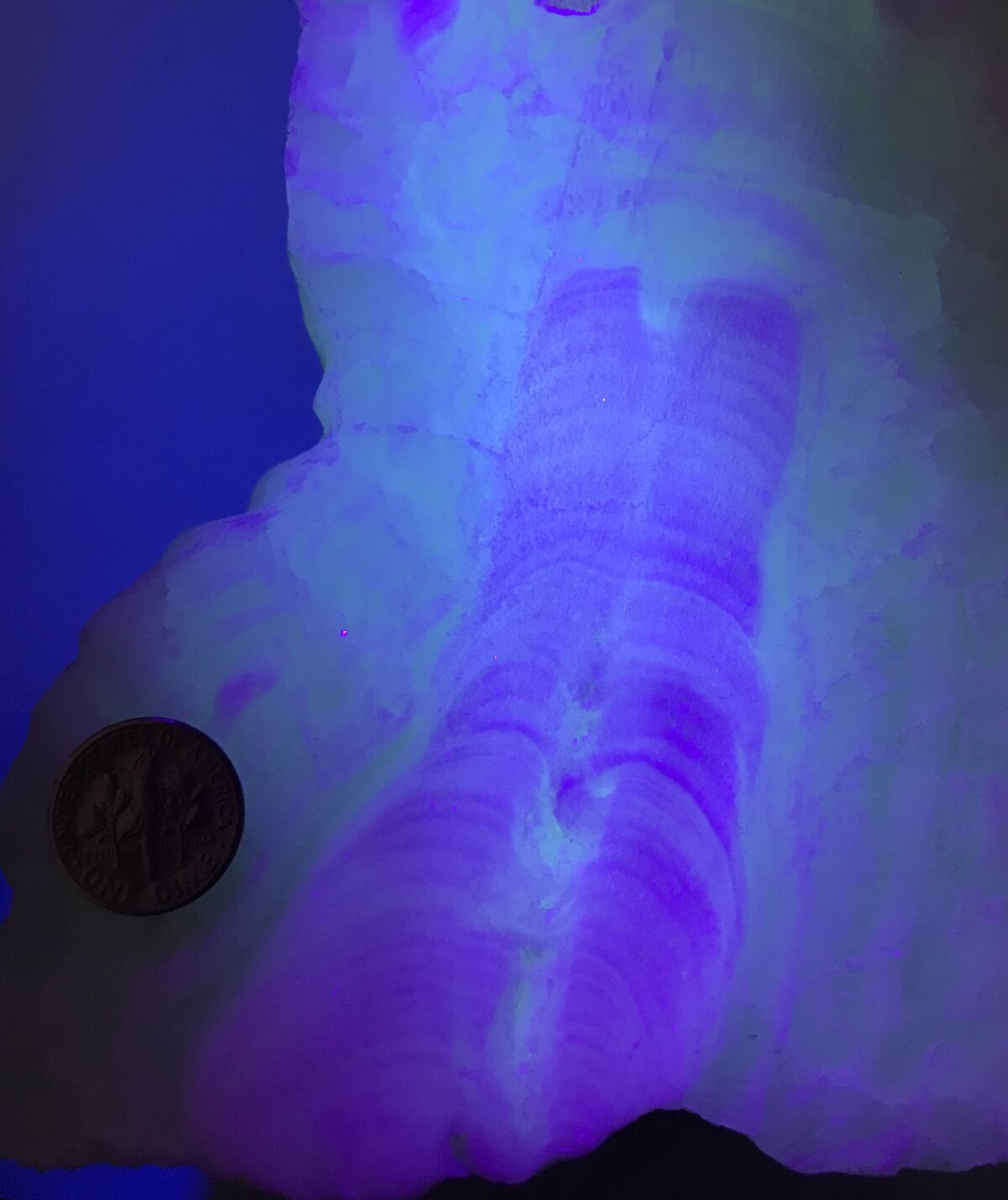 Concrétions de calcite rougies et noircies par le feu dans une grotte