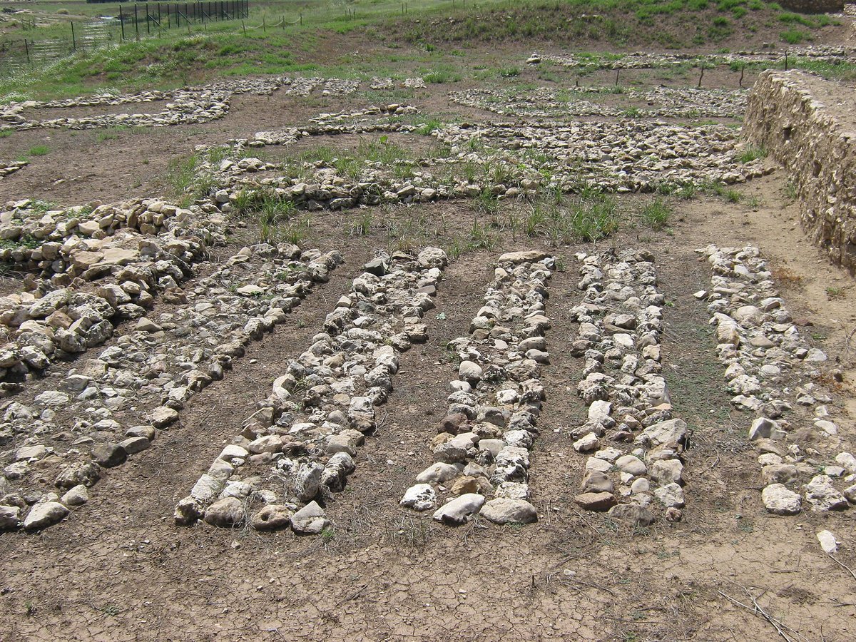 Fondations en pierre d'un bâtiment à plan en grill sur le site néolithique de Çayönü