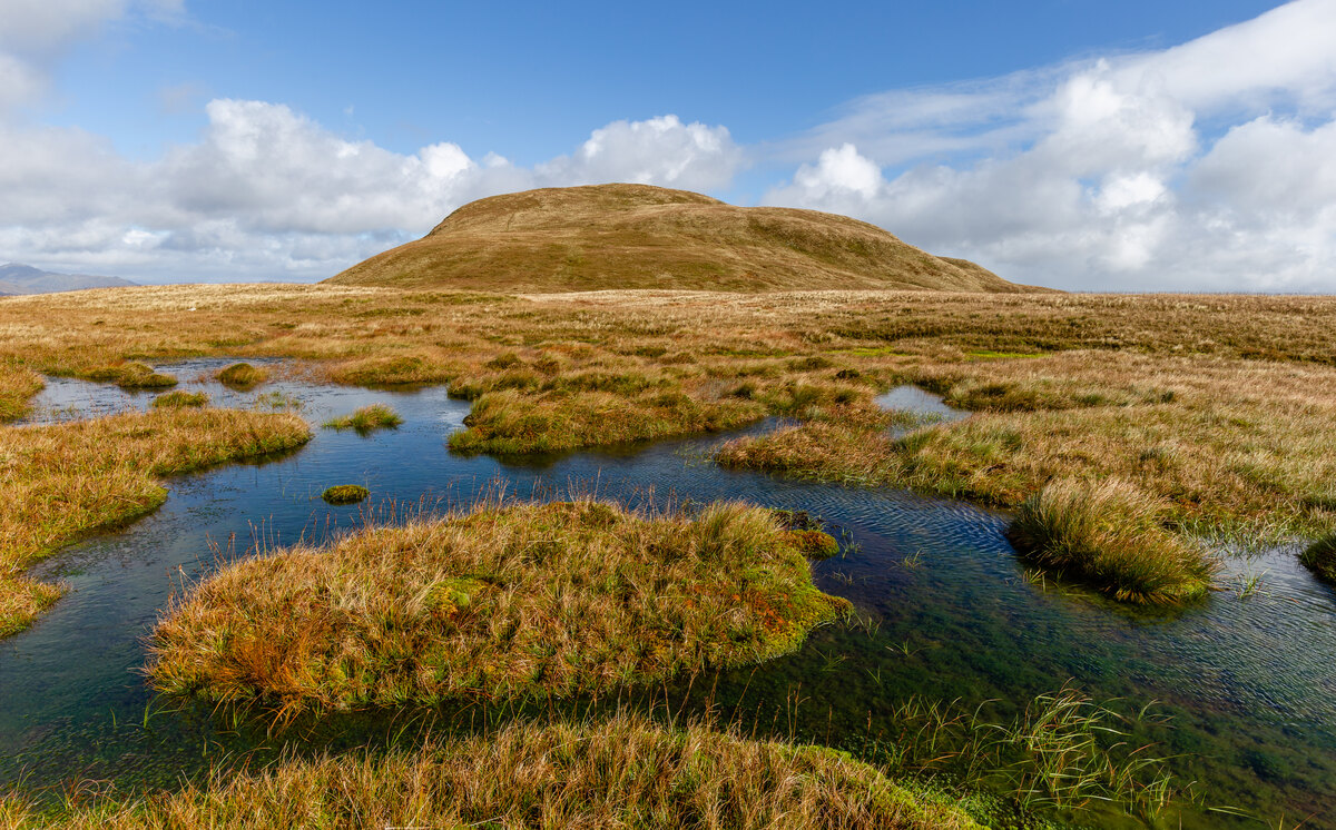 Tourbière gorgée d'eau, milieu humide propice à la conservation des matières organiques