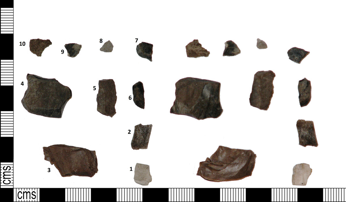 Outils mésolithiques en silex et en os de type Maglemose