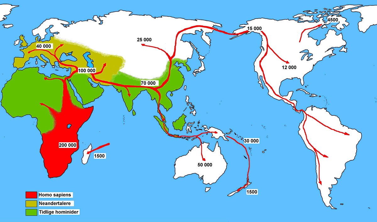 Carte schématique des routes de dispersion d'Homo sapiens depuis l'Afrique