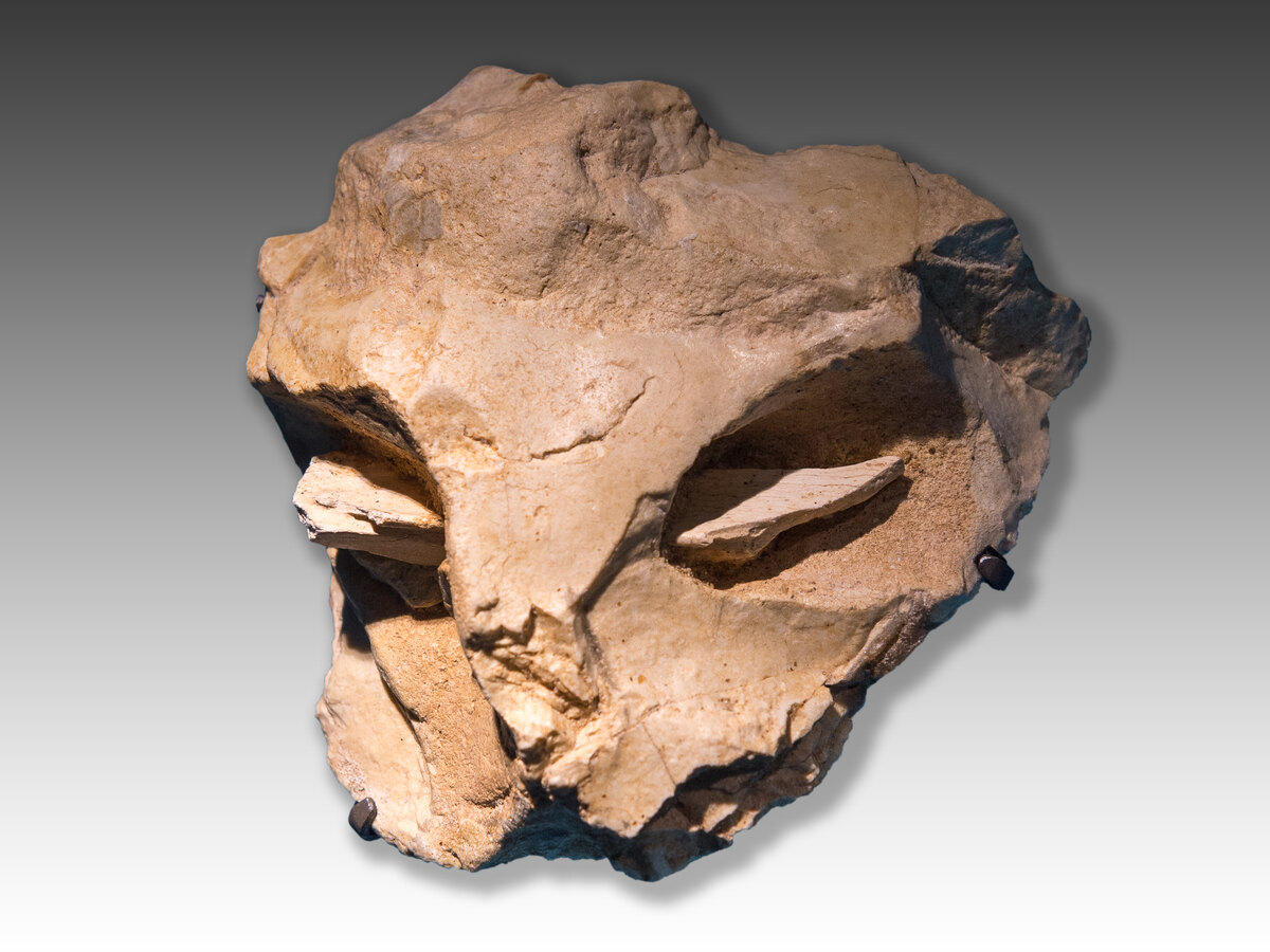 Le masque de La Roche-Cotard, bloc de silex traversé d'un éclat d'os