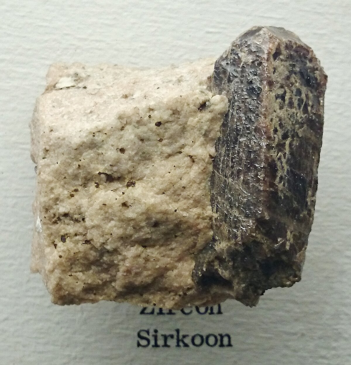 Cristaux de zircon observés au microscope