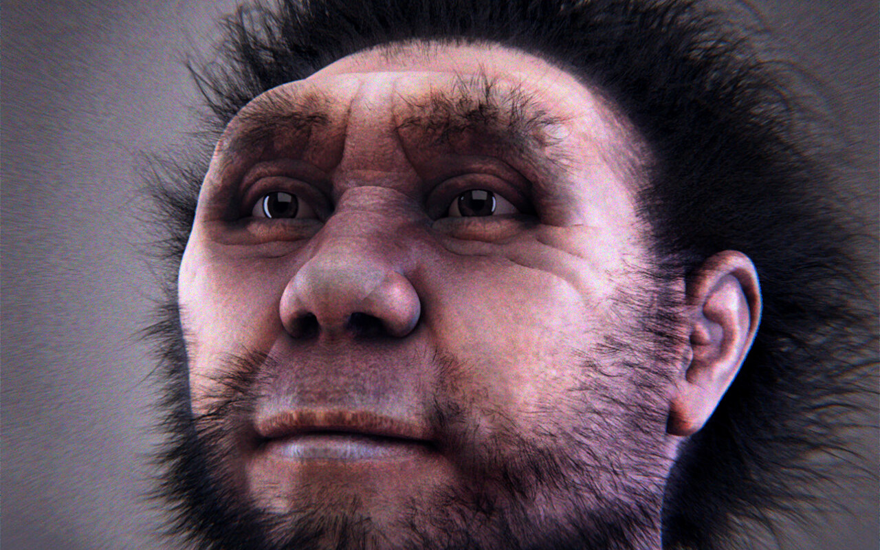 Homo erectus : le premier conquerant du monde, de l'Afrique a Java