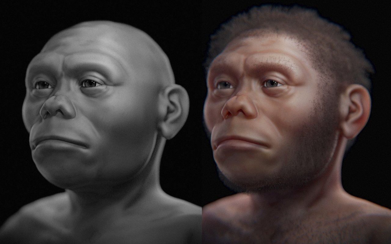 Homo floresiensis: the Hobbit of Flores, the Smallest Known Human