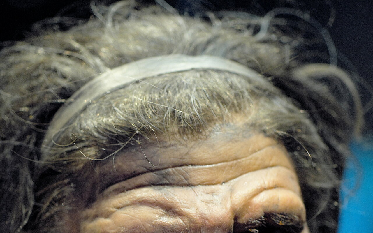 Homo neanderthalensis : portrait complet d'une humanite parallele