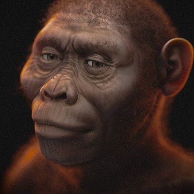 Australopithecus