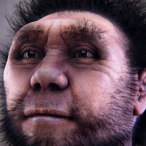 Homo erectus