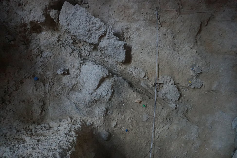 Hollow impression of a wooden object preserved in the travertine of level R at the Abric Romaní