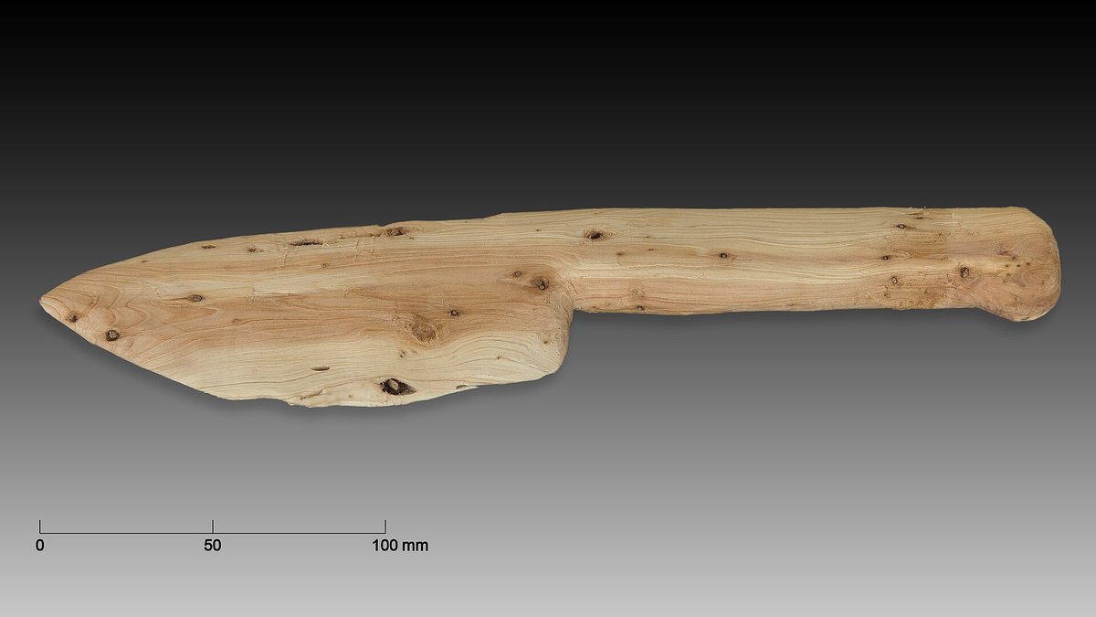 Wooden replica of a Neanderthal tool from the Abric Romaní shown on a grey background with a scale