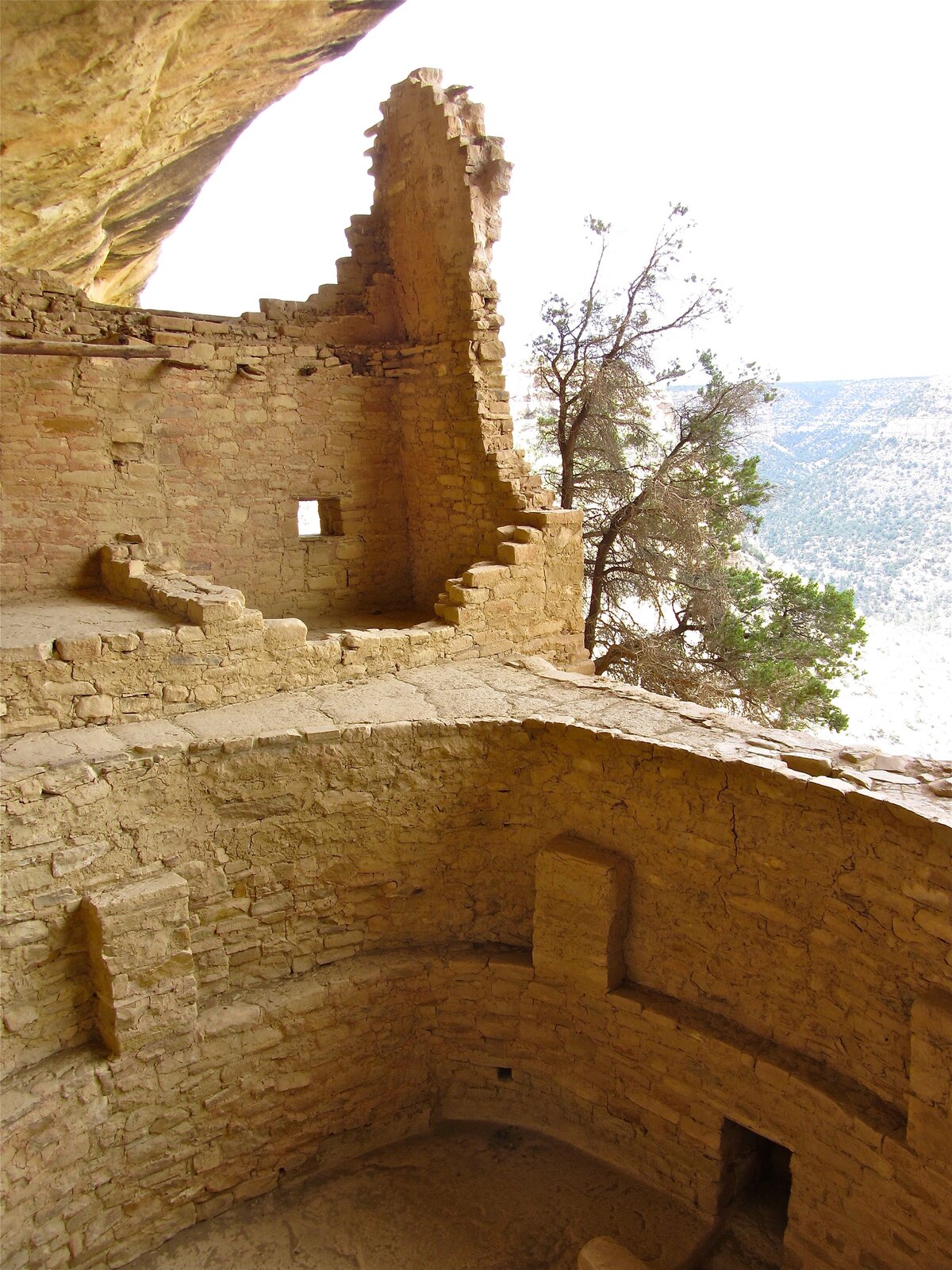 A circular, half-buried kiva with its benches and central hearth