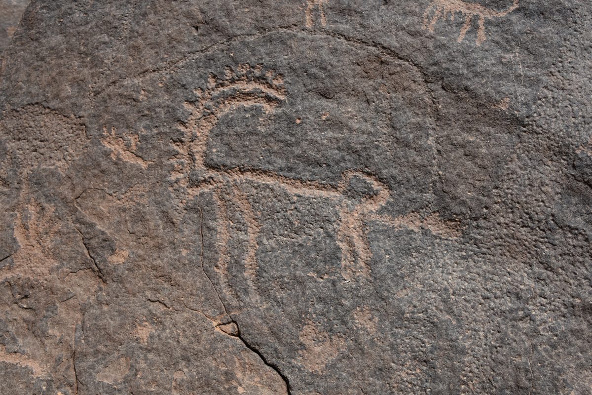 Rock art engravings of ibex at Jubbah, Saudi Arabia