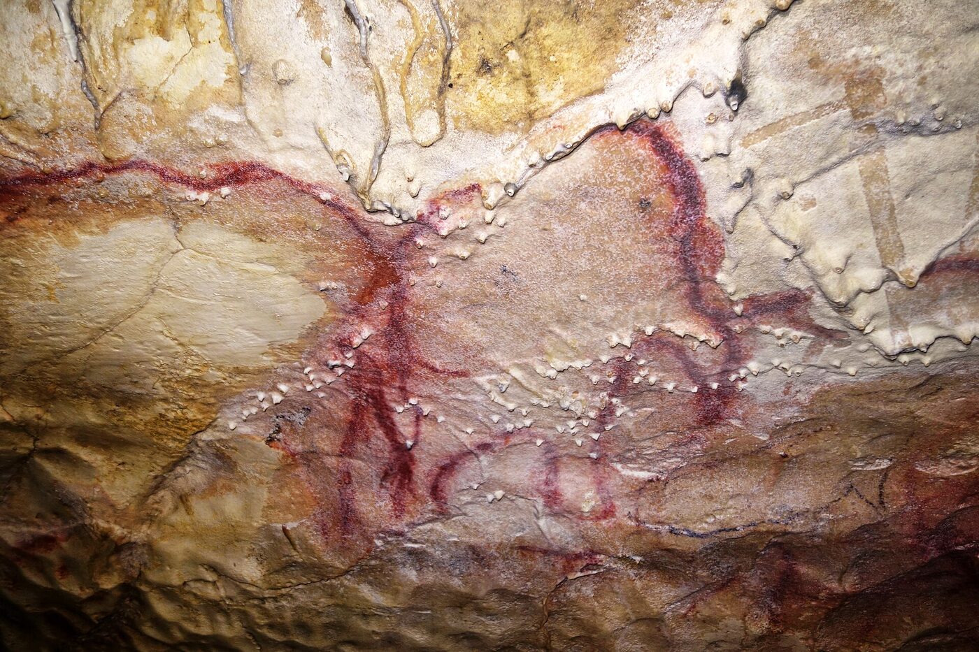 Peinture pariétale rouge représentant un mammouth dans la Grande Grotte d'Arcy-sur-Cure