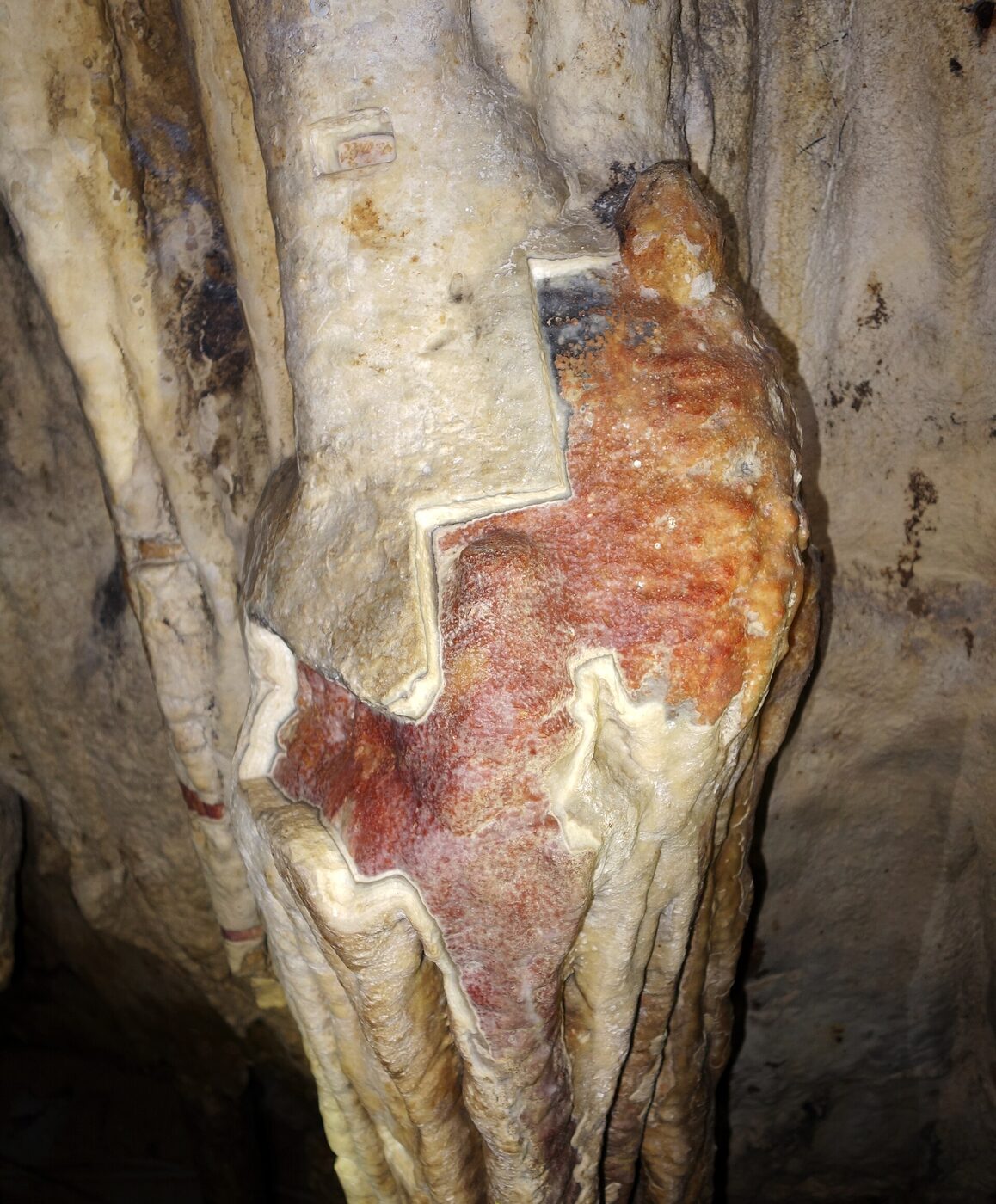 Peinture paléolithique partiellement recouverte d'une pellicule de calcite à Arcy-sur-Cure