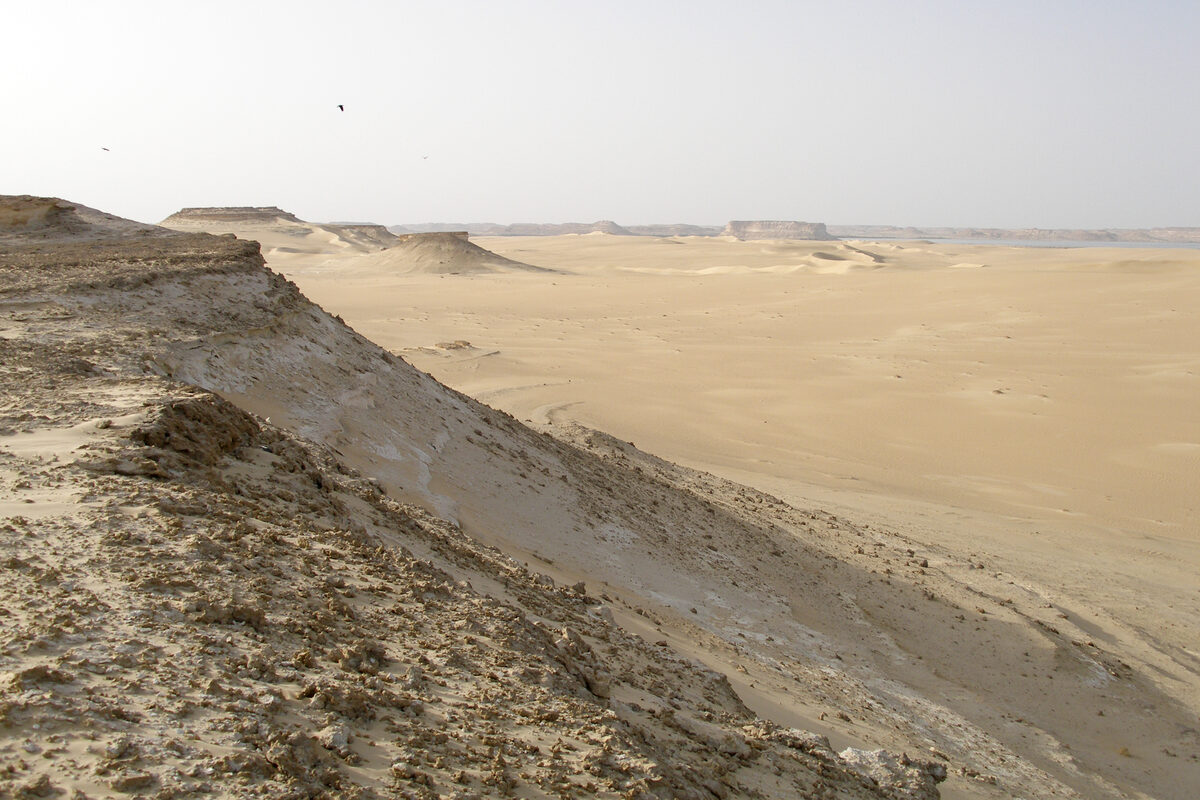 Désert occidental égyptien, étendue de sable et de roche aride