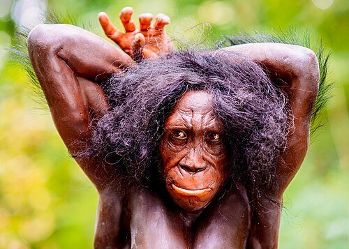 Berceau de l'Humanite Malapa Afrique du Sud