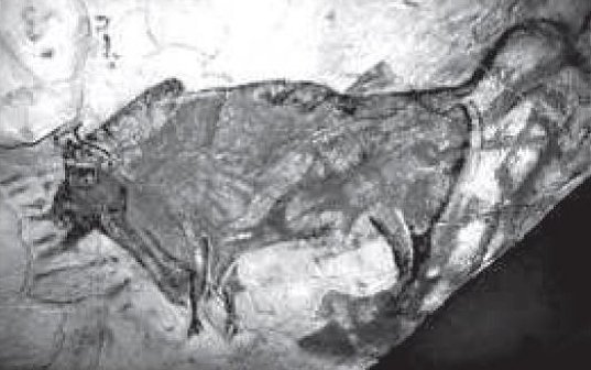 Altamira cave - Upper Paleolithic rock art - comparison