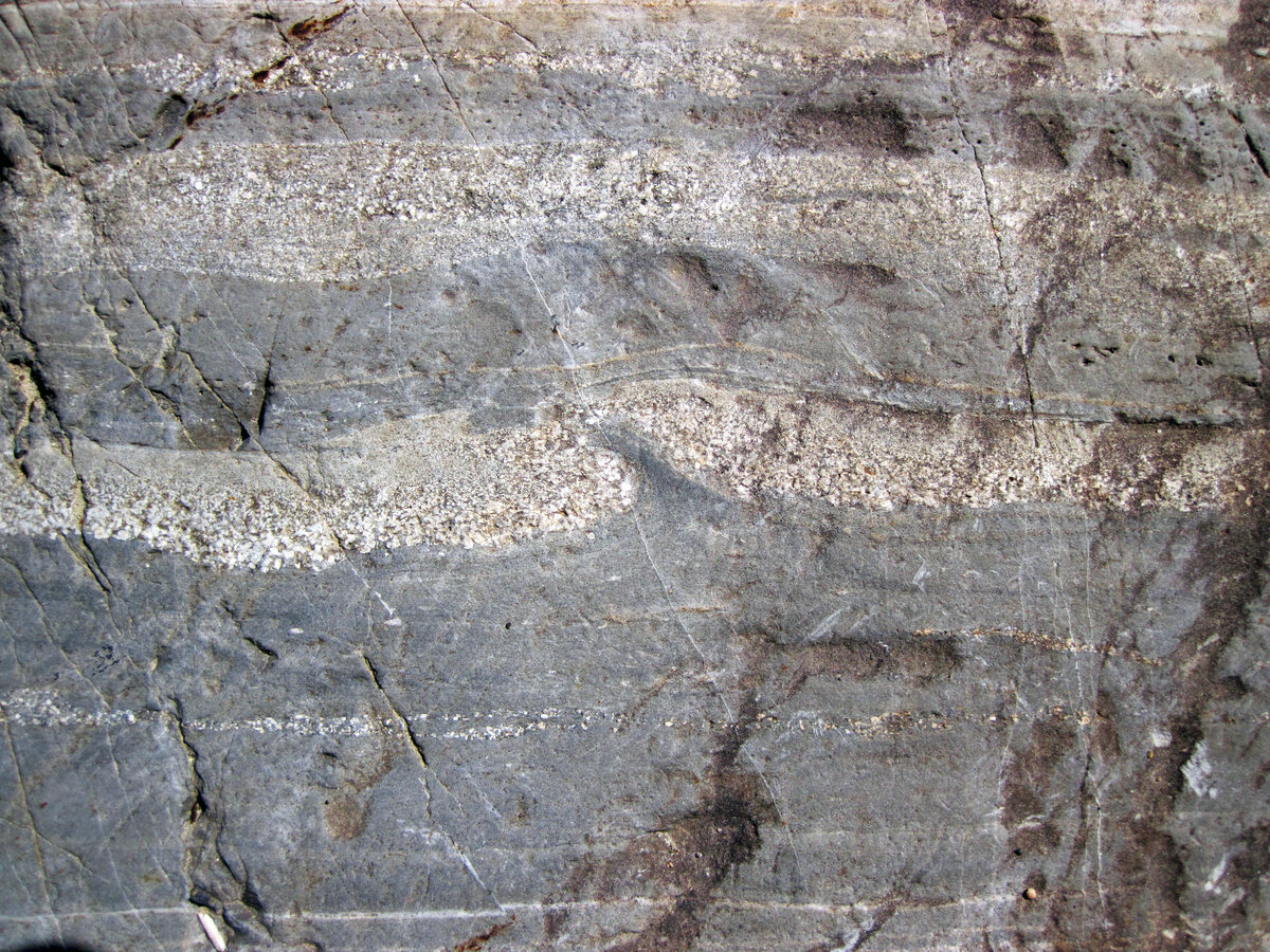 Muddy lake bed underwater, dark still sediment, an oxygen-free environment