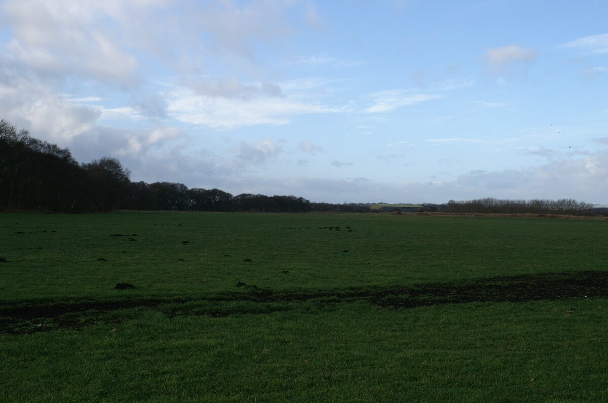 Landscape of the Mesolithic site of Star Carr in England, wet meadow beside a former lake
