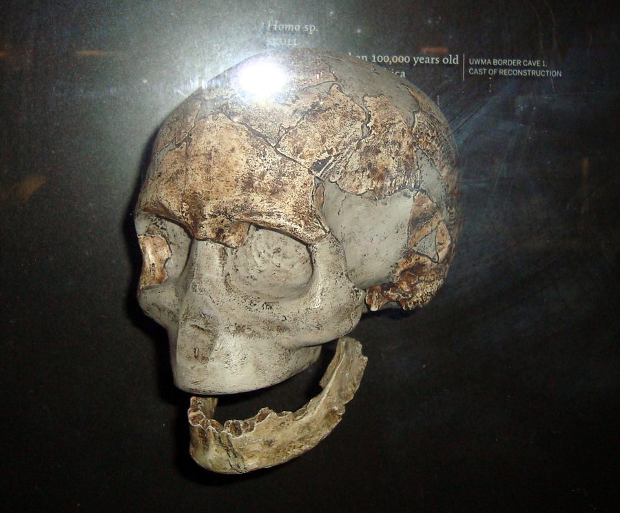 Outils du Paléolithique moyen trouvés à Border Cave, Afrique du Sud