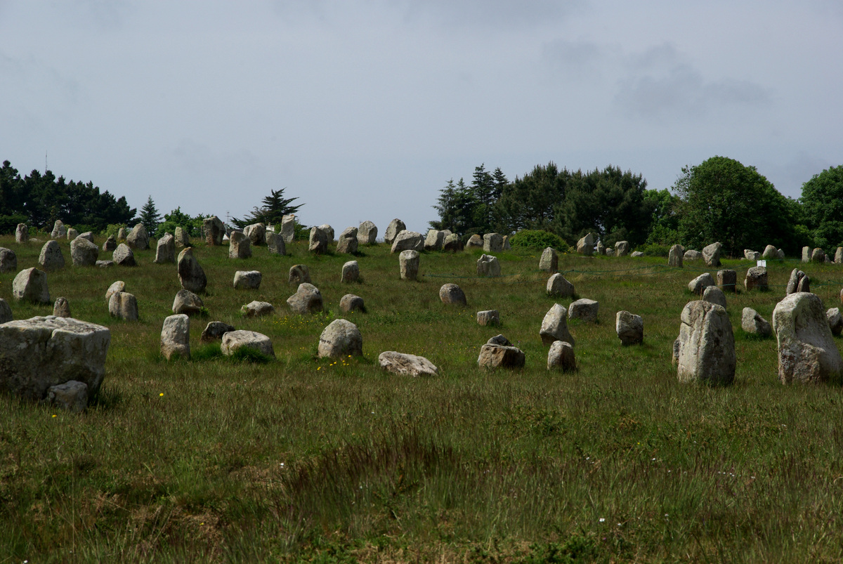 A long row of standing stones dominated by a tall menhir in Brittany