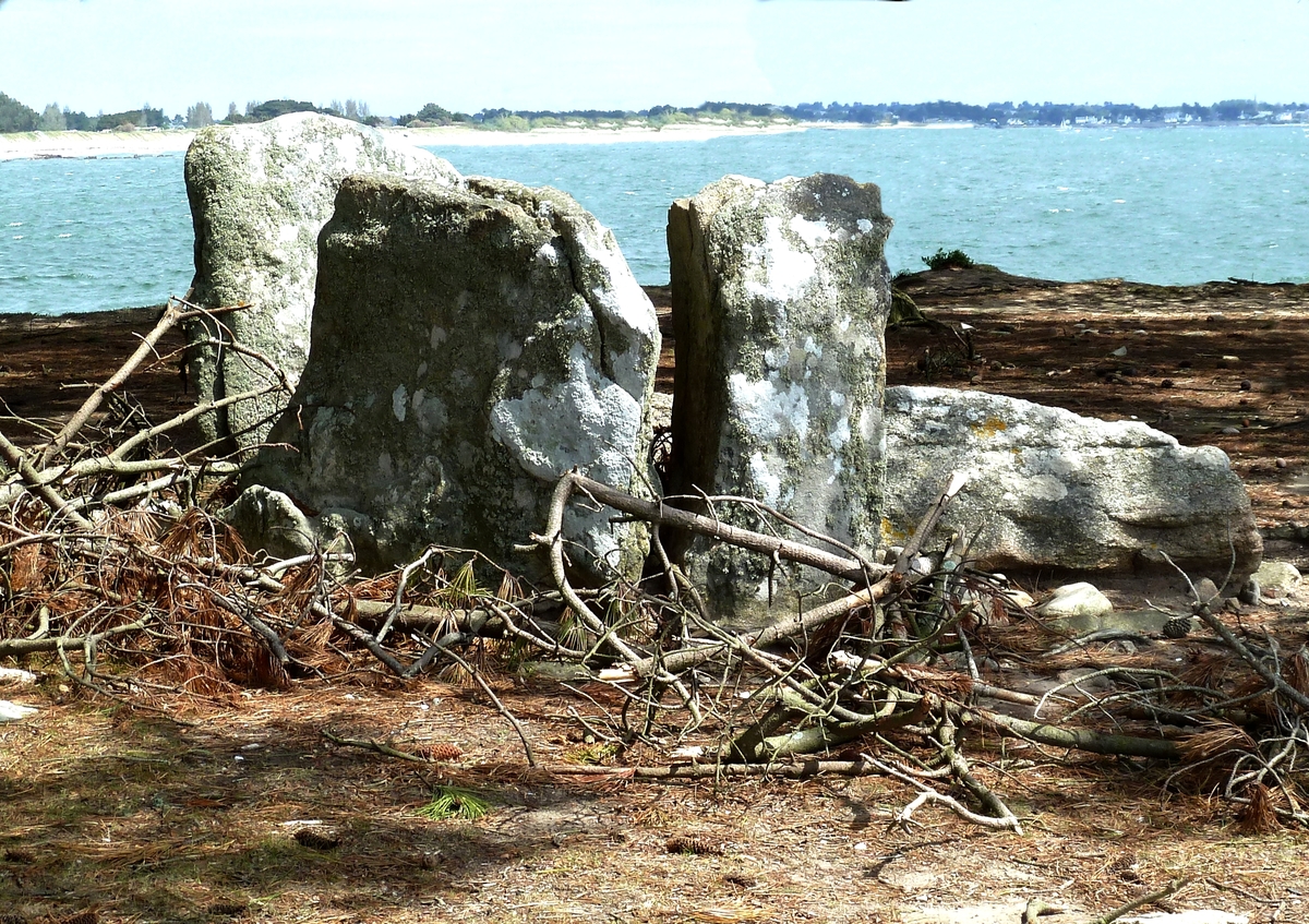 A Neolithic dolmen in a Breton heathland landscape