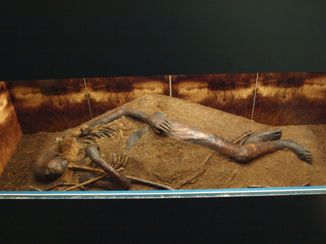 Windeby I, a bog body preserved in Schleswig-Holstein, illustrating the exceptional soft tissue preservation found in peat bogs