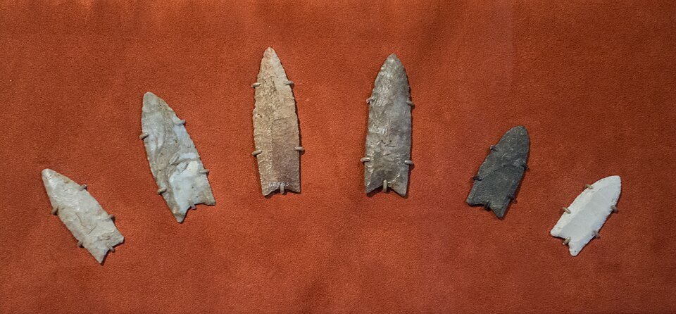 Pointes Clovis du Cleveland Museum of Natural History