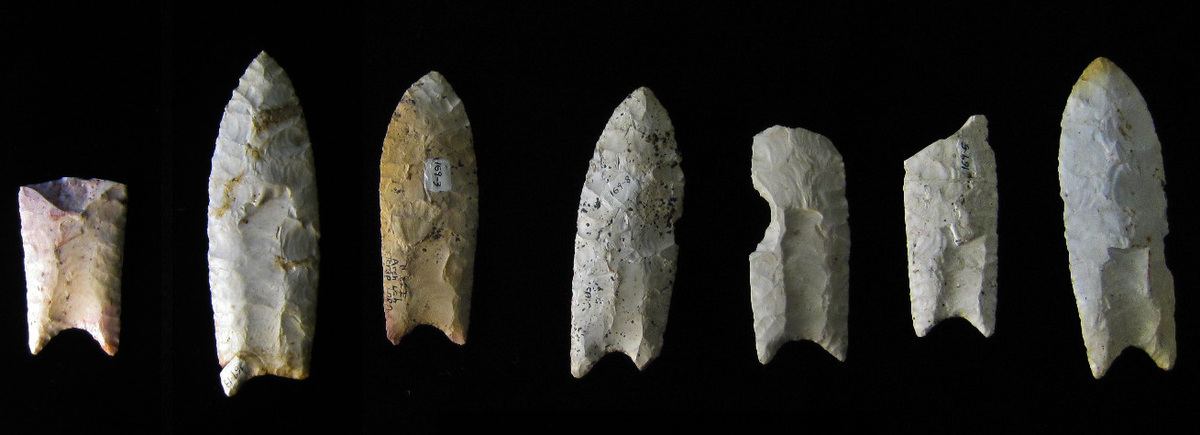 Western Stemmed stemmed point and Paleoindian lithic toolkit