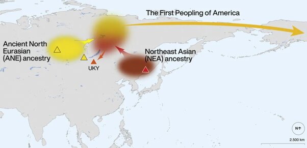 Map of peopling routes of the Americas from Beringia
