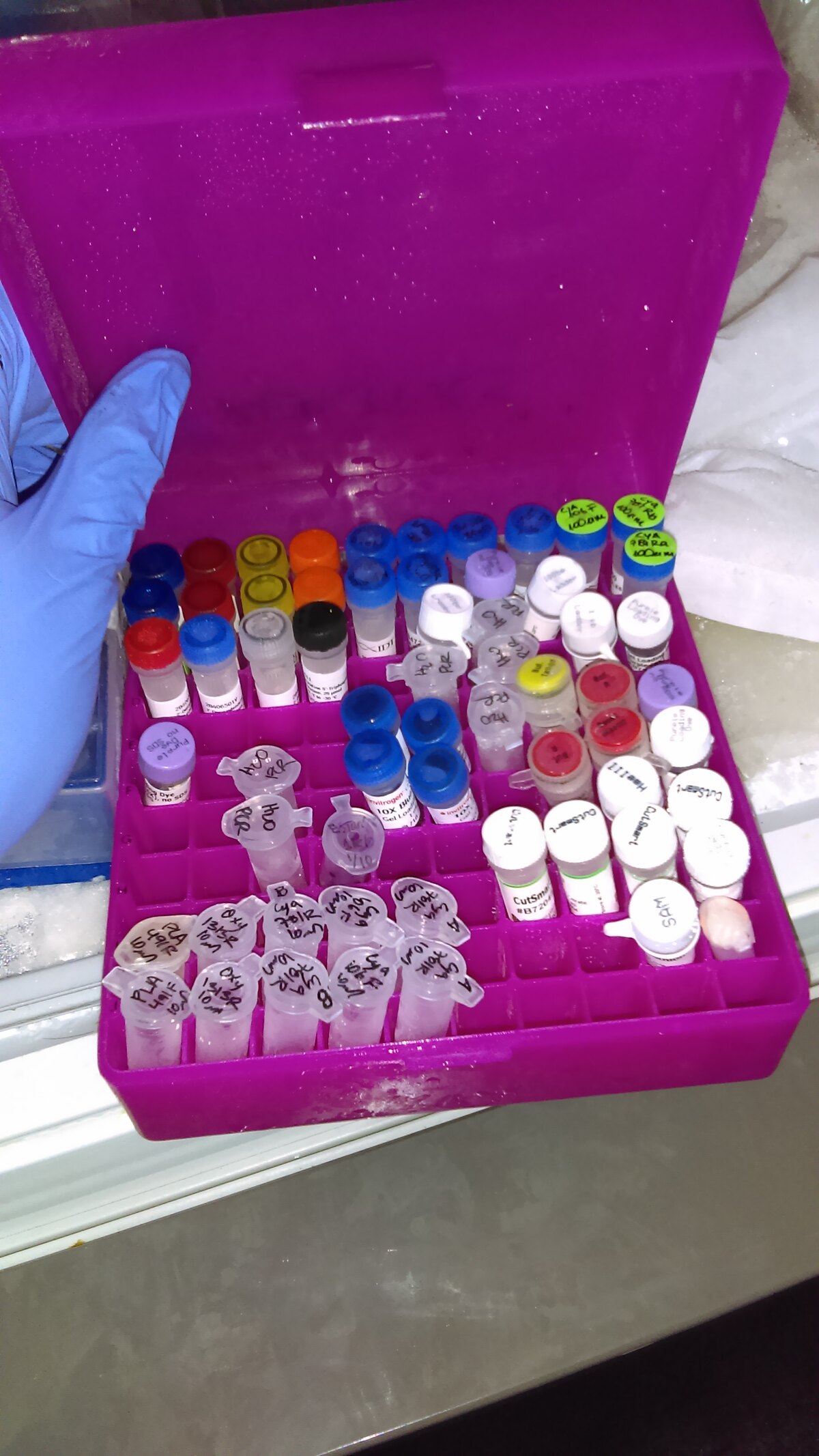 Ancient DNA cleanroom laboratory
