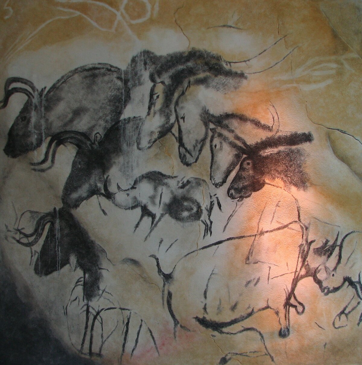 Panel of horses and rhinoceroses from Chauvet cave