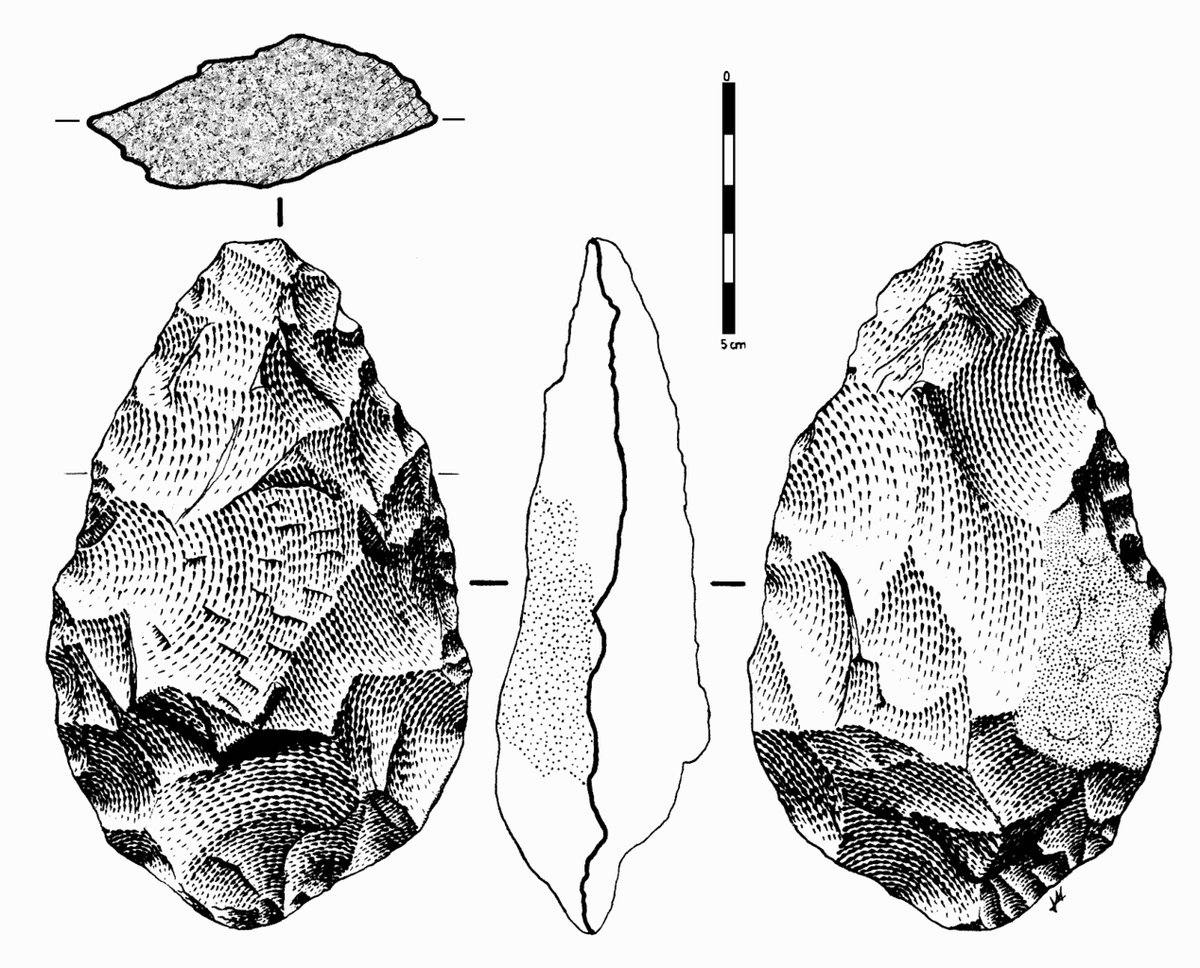 Acheulean handaxe - Wikimedia Commons CC BY-SA 4.0