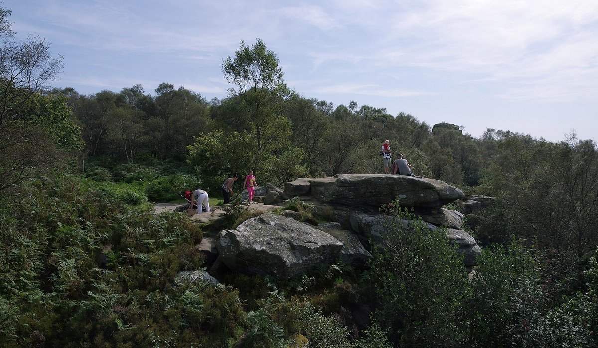 Rochers de grès sculptés par l'érosion à Brimham Rocks, au milieu de la lande et des arbres