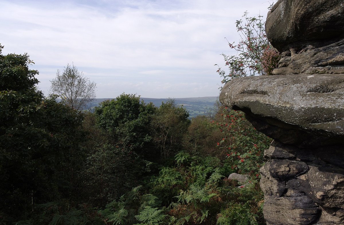 Grand rocher de grès en surplomb à Brimham Rocks dominant un paysage de lande et de forêt