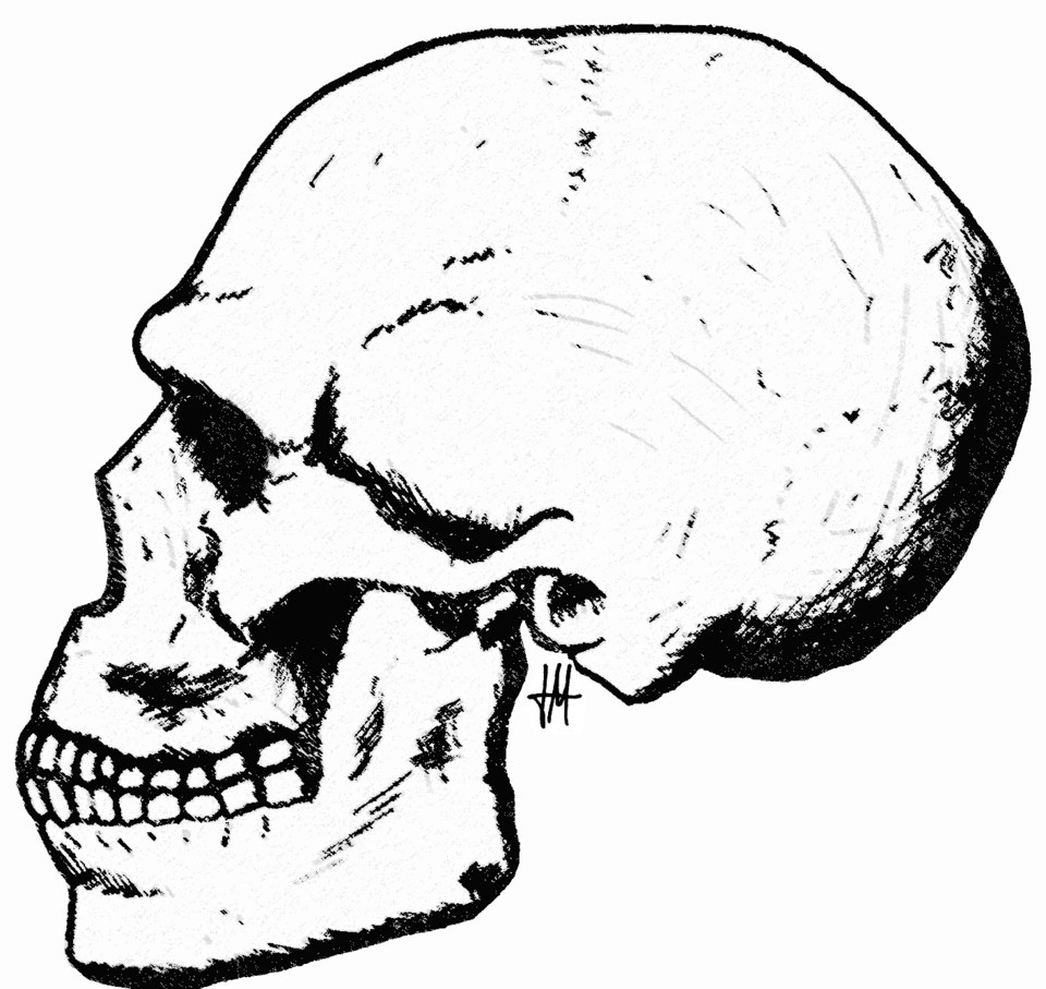 Crâne de Skhul 5, l'un des Homo sapiens archaïques du mont Carmel
