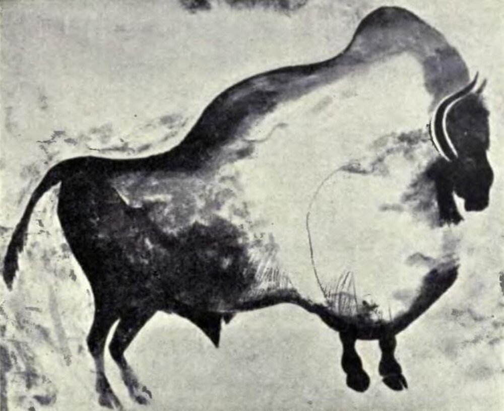 Bison polychrome peint sur la paroi de la grotte de Font-de-Gaume