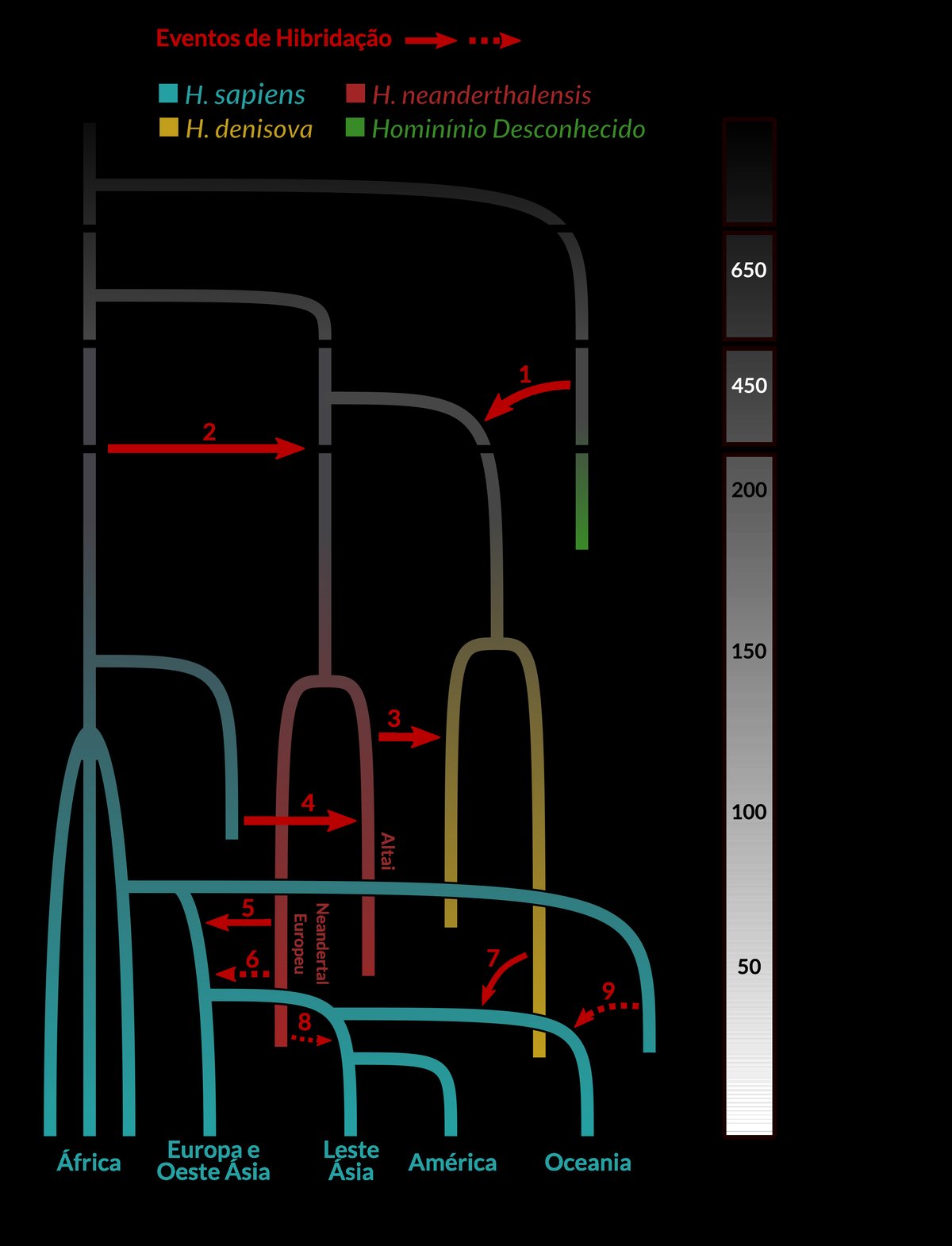 Phylogeny of hominin hybridization events