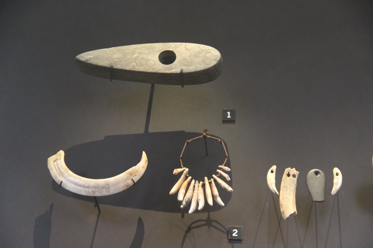 Neolithic ornaments from central Europe