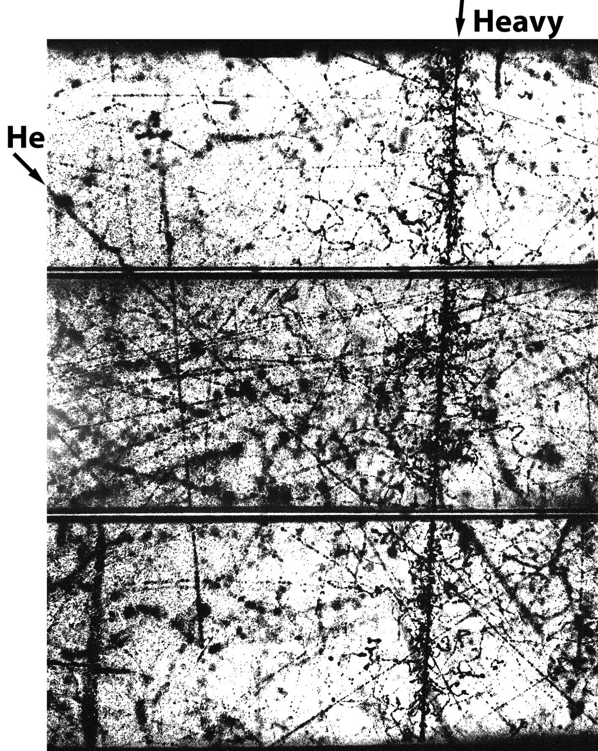 Particle detector used for muography of the pyramids