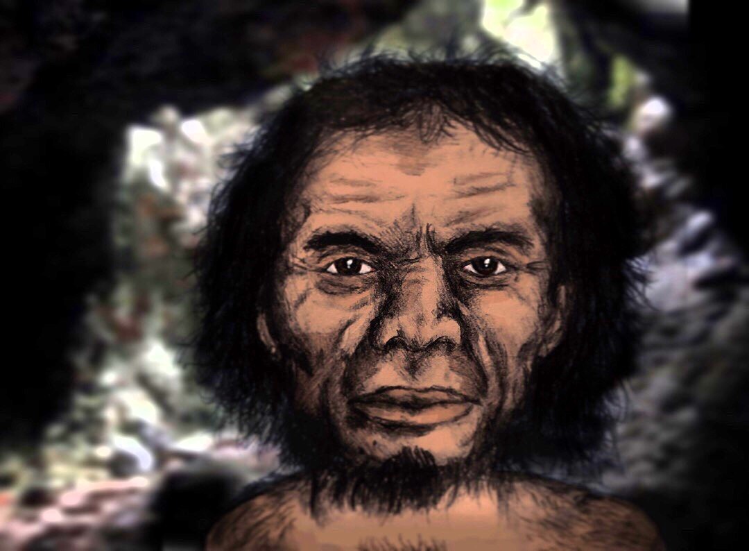 Homo luzonensis fossil specimens, teeth and phalanges