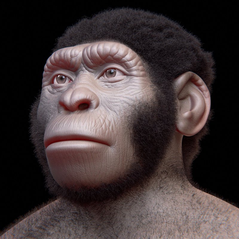 Facial reconstruction of Homo naledi showing characteristic features of the species