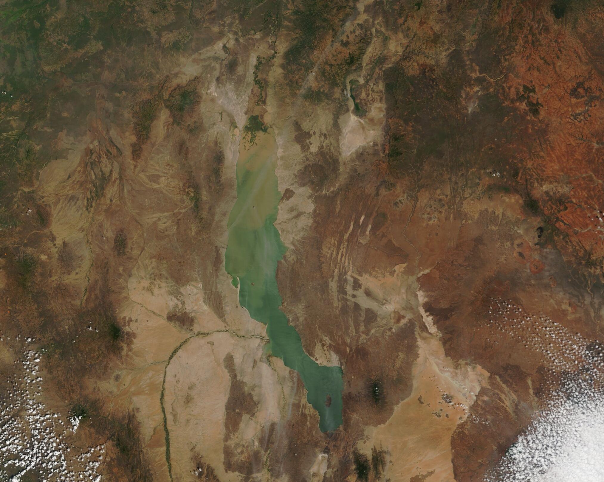 Lomekwian stone tools, 3.3 million years old, Lake Turkana