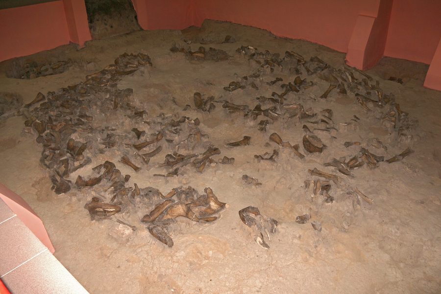 Fondations de l'habitation en os de mammouth de Kostenki, in situ dans le musée-réserve