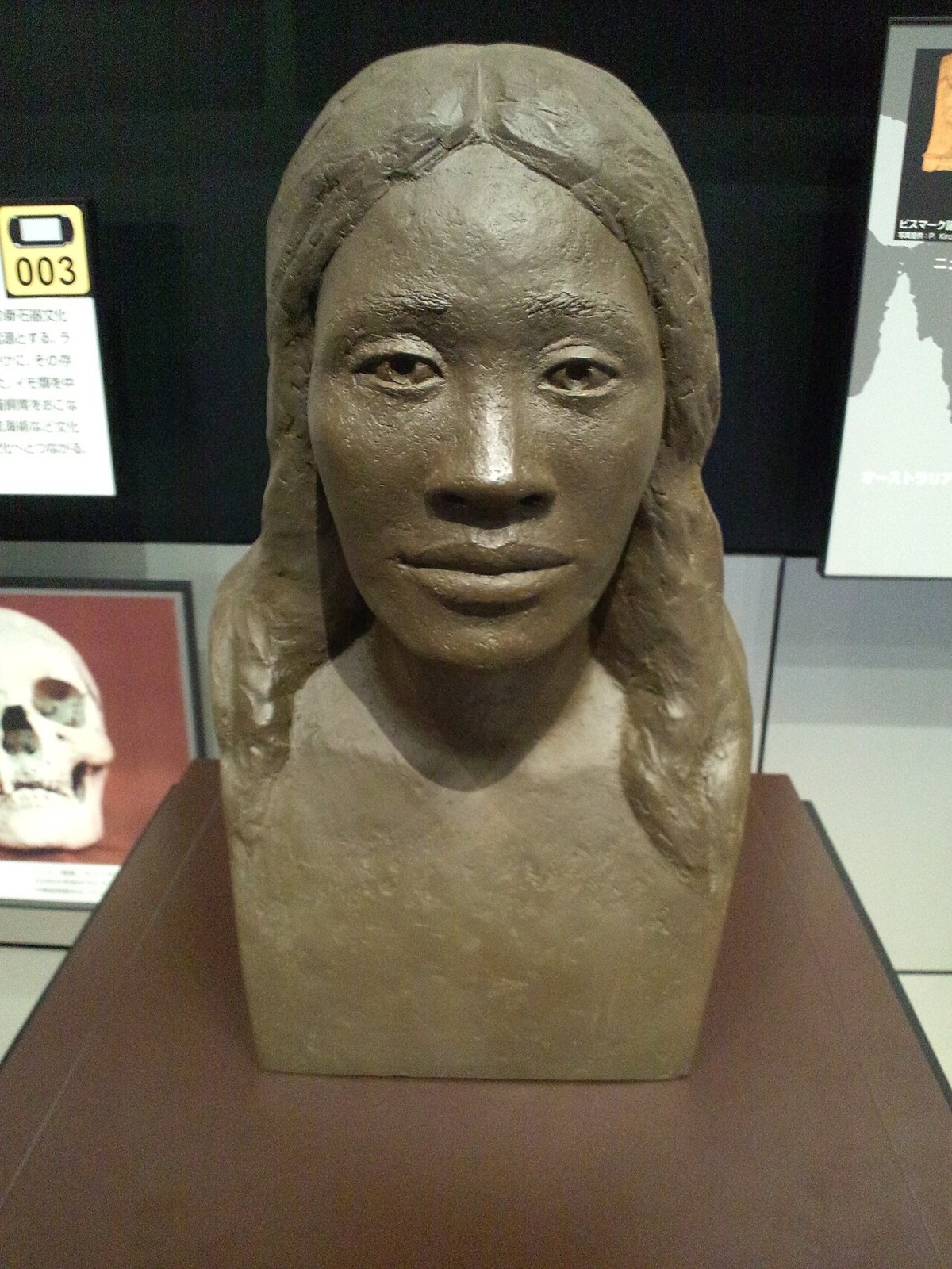 Reconstitution d'une femme Lapita, Musée d'ethnologie nationale d'Osaka