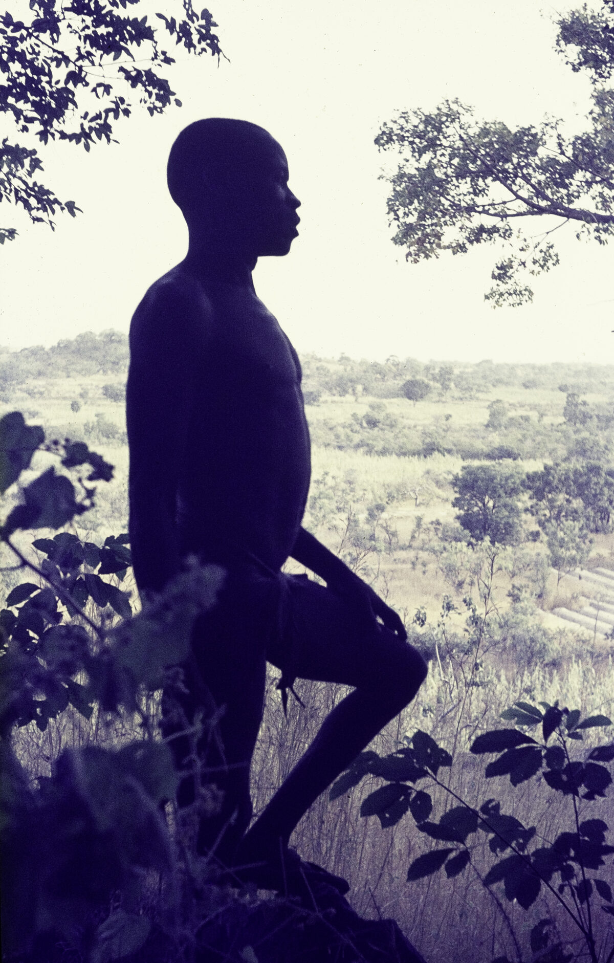 Paysage de savane dans l'État de Bauchi, Nigeria, silhouette d'un homme au premier plan