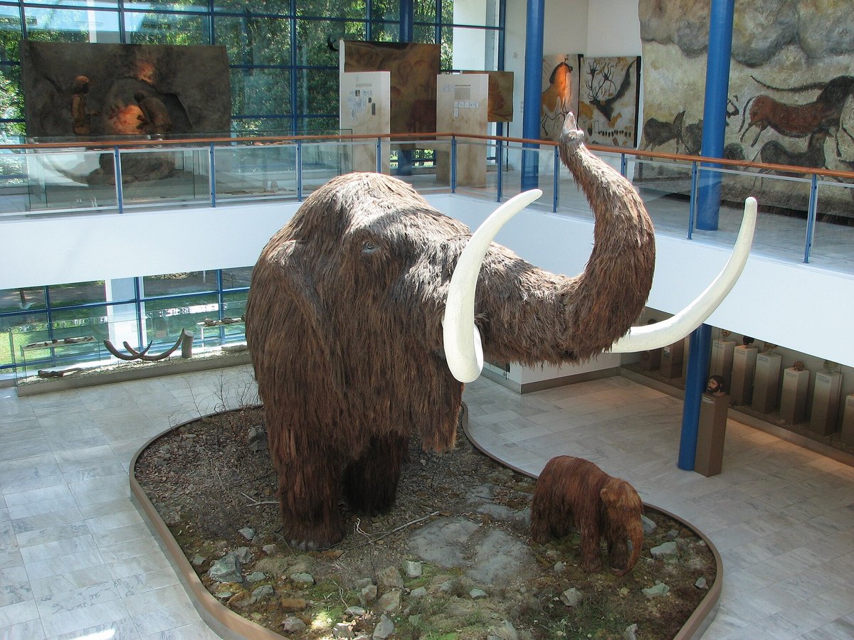 Life-size model of a woolly mammoth