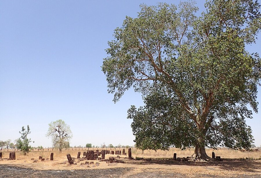 Standing stone circle at Sine Ngayene