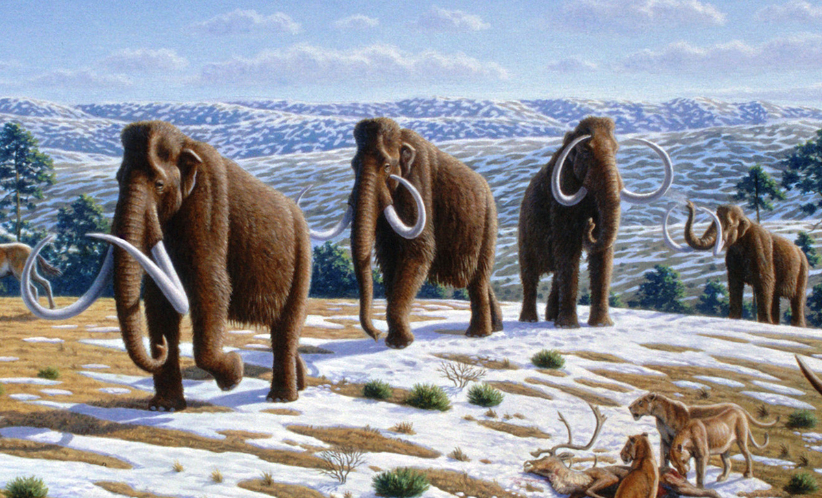 Glacial steppe landscape, the mammoth steppe